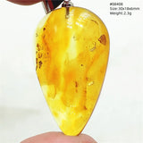 Natural Insect Amber Water Drop Pendant Flower Yellow Amber Insect Necklace Baltic Women Men Jewelry Stone AAAAAAA
