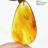 Natural Insect Amber Water Drop Pendant Flower Yellow Amber Insect Necklace Baltic Women Men Jewelry Stone AAAAAAA