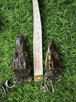 Crocodile Head Specimen Keychain Simple Car Keychain Accessories Birthday Gift Pendant