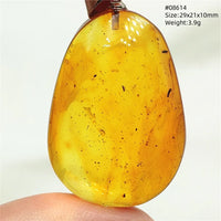 Natural Insect Amber Water Drop Pendant Flower Yellow Amber Insect Necklace Baltic Women Men Jewelry Stone AAAAAAA