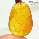 Natural Insect Amber Water Drop Pendant Flower Yellow Amber Insect Necklace Baltic Women Men Jewelry Stone AAAAAAA