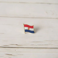 National Flag Metal Lapel Pin Country Badge All the World Netherlands Palestine Panama Peru Philippines Poland  Portuguesa Qatar