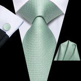 Gift Tie for Men 2023 New Sage Green Plaid Fashion Brand Wedding Party Necktie Handky Cufflinks Wholesale Hi-Tie Designer