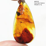 Natural Insect Amber Water Drop Pendant Flower Yellow Amber Insect Necklace Baltic Women Men Jewelry Stone AAAAAAA