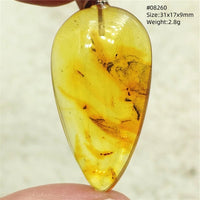 Natural Insect Amber Water Drop Pendant Flower Yellow Amber Insect Necklace Baltic Women Men Jewelry Stone AAAAAAA