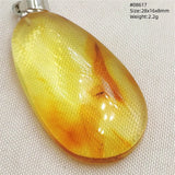 Natural Insect Amber Water Drop Pendant Flower Yellow Amber Insect Necklace Baltic Women Men Jewelry Stone AAAAAAA