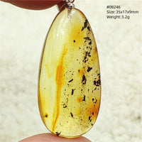 Natural Insect Amber Water Drop Pendant Flower Yellow Amber Insect Necklace Baltic Women Men Jewelry Stone AAAAAAA