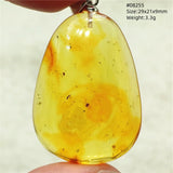Natural Insect Amber Water Drop Pendant Flower Yellow Amber Insect Necklace Baltic Women Men Jewelry Stone AAAAAAA