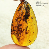 Natural Insect Amber Water Drop Pendant Flower Yellow Amber Insect Necklace Baltic Women Men Jewelry Stone AAAAAAA