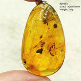 Natural Insect Amber Water Drop Pendant Flower Yellow Amber Insect Necklace Baltic Women Men Jewelry Stone AAAAAAA