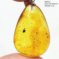 Natural Insect Amber Water Drop Pendant Flower Yellow Amber Insect Necklace Baltic Women Men Jewelry Stone AAAAAAA