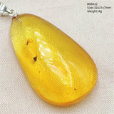 Natural Insect Amber Water Drop Pendant Flower Yellow Amber Insect Necklace Baltic Women Men Jewelry Stone AAAAAAA