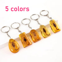 Insect Specimen Amber Keychain Resin Scorpion Crab Car Key Bag Keychain Hanging Ornament Natural Insect Pendants Gift 2025