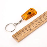 Insect Specimen Amber Keychain Resin Scorpion Crab Car Key Bag Keychain Hanging Ornament Natural Insect Pendants Gift 2025