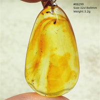 Natural Insect Amber Water Drop Pendant Flower Yellow Amber Insect Necklace Baltic Women Men Jewelry Stone AAAAAAA