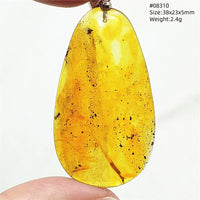 Natural Insect Amber Water Drop Pendant Flower Yellow Amber Insect Necklace Baltic Women Men Jewelry Stone AAAAAAA