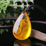 Natural Baltic Amber Butterfly Necklace Men Women Healing Gemstone Fine Jewelry Scorpion In Amber Pendant Sweater Chain Necklace