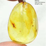 Natural Insect Amber Water Drop Pendant Flower Yellow Amber Insect Necklace Baltic Women Men Jewelry Stone AAAAAAA