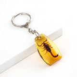 Insect Specimen Amber Keychain Resin Scorpion Crab Car Key Bag Keychain Hanging Ornament Natural Insect Pendants Gift 2025
