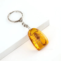 Insect Specimen Amber Keychain Resin Scorpion Crab Car Key Bag Keychain Hanging Ornament Natural Insect Pendants Gift 2025