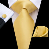 Gift Tie for Men 2023 New Sage Green Plaid Fashion Brand Wedding Party Necktie Handky Cufflinks Wholesale Hi-Tie Designer