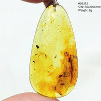 Natural Insect Amber Water Drop Pendant Flower Yellow Amber Insect Necklace Baltic Women Men Jewelry Stone AAAAAAA