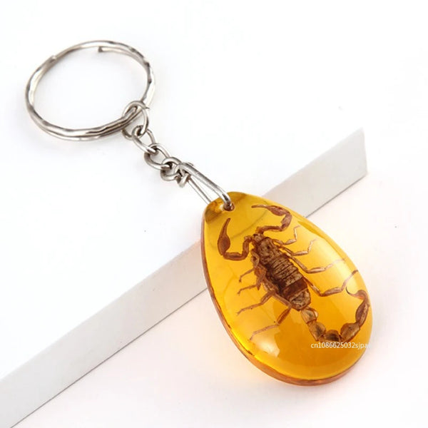 Insect Specimen Amber Keychain Resin Scorpion Crab Car Key Bag Keychain Hanging Ornament Natural Insect Pendants Gift 2025
