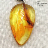 Natural Insect Amber Water Drop Pendant Flower Yellow Amber Insect Necklace Baltic Women Men Jewelry Stone AAAAAAA