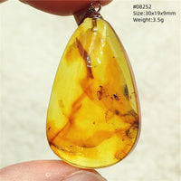 Natural Insect Amber Water Drop Pendant Flower Yellow Amber Insect Necklace Baltic Women Men Jewelry Stone AAAAAAA