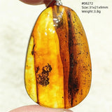 Natural Insect Amber Water Drop Pendant Flower Yellow Amber Insect Necklace Baltic Women Men Jewelry Stone AAAAAAA