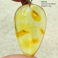 Natural Insect Amber Water Drop Pendant Flower Yellow Amber Insect Necklace Baltic Women Men Jewelry Stone AAAAAAA