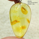Natural Insect Amber Water Drop Pendant Flower Yellow Amber Insect Necklace Baltic Women Men Jewelry Stone AAAAAAA