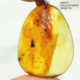 Natural Insect Amber Water Drop Pendant Flower Yellow Amber Insect Necklace Baltic Women Men Jewelry Stone AAAAAAA