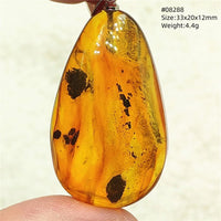 Natural Insect Amber Water Drop Pendant Flower Yellow Amber Insect Necklace Baltic Women Men Jewelry Stone AAAAAAA
