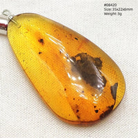 Natural Insect Amber Water Drop Pendant Flower Yellow Amber Insect Necklace Baltic Women Men Jewelry Stone AAAAAAA
