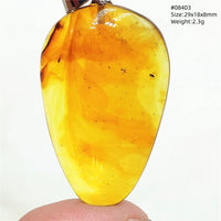Natural Insect Amber Water Drop Pendant Flower Yellow Amber Insect Necklace Baltic Women Men Jewelry Stone AAAAAAA