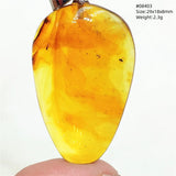 Natural Insect Amber Water Drop Pendant Flower Yellow Amber Insect Necklace Baltic Women Men Jewelry Stone AAAAAAA