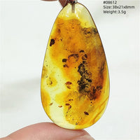 Natural Insect Amber Water Drop Pendant Flower Yellow Amber Insect Necklace Baltic Women Men Jewelry Stone AAAAAAA