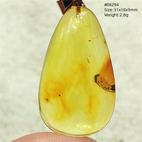 Natural Insect Amber Water Drop Pendant Flower Yellow Amber Insect Necklace Baltic Women Men Jewelry Stone AAAAAAA