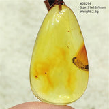 Natural Insect Amber Water Drop Pendant Flower Yellow Amber Insect Necklace Baltic Women Men Jewelry Stone AAAAAAA