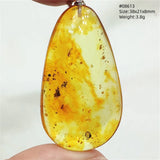 Natural Insect Amber Water Drop Pendant Flower Yellow Amber Insect Necklace Baltic Women Men Jewelry Stone AAAAAAA