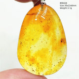 Natural Insect Amber Water Drop Pendant Flower Yellow Amber Insect Necklace Baltic Women Men Jewelry Stone AAAAAAA