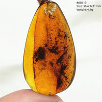 Natural Insect Amber Water Drop Pendant Flower Yellow Amber Insect Necklace Baltic Women Men Jewelry Stone AAAAAAA