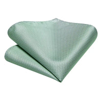 Gift Tie for Men 2023 New Sage Green Plaid Fashion Brand Wedding Party Necktie Handky Cufflinks Wholesale Hi-Tie Designer