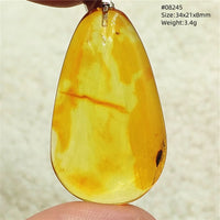 Natural Insect Amber Water Drop Pendant Flower Yellow Amber Insect Necklace Baltic Women Men Jewelry Stone AAAAAAA