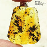 Natural Insect Amber Water Drop Pendant Flower Yellow Amber Insect Necklace Baltic Women Men Jewelry Stone AAAAAAA