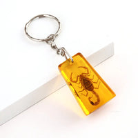 Insect Specimen Amber Keychain Resin Scorpion Crab Car Key Bag Keychain Hanging Ornament Natural Insect Pendants Gift 2025