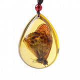 Natural Baltic Amber Butterfly Necklace Men Women Healing Gemstone Fine Jewelry Scorpion In Amber Pendant Sweater Chain Necklace