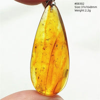 Natural Insect Amber Water Drop Pendant Flower Yellow Amber Insect Necklace Baltic Women Men Jewelry Stone AAAAAAA