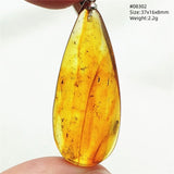 Natural Insect Amber Water Drop Pendant Flower Yellow Amber Insect Necklace Baltic Women Men Jewelry Stone AAAAAAA